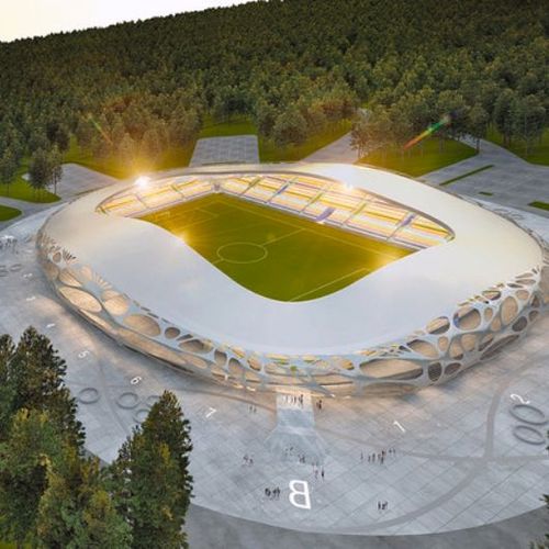 Borisov Arena