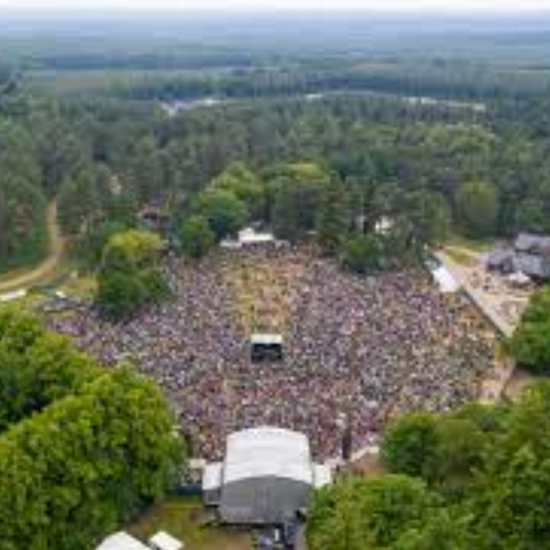 Thetford Forest
