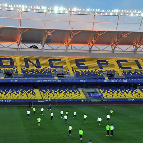 Estadio Ester Roa