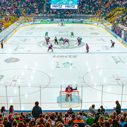 Hertz Arena