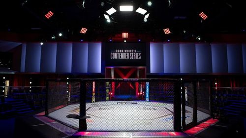 UFC Apex