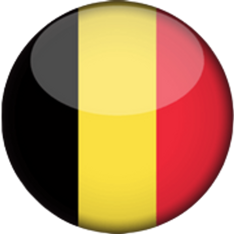 Belgium Basketball Team