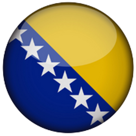 Bosnia and Herzegovina Basketball Team