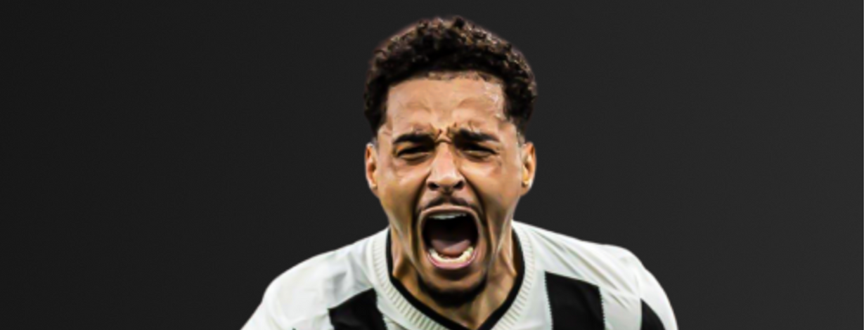 Botafogo de Futebol e Regatas