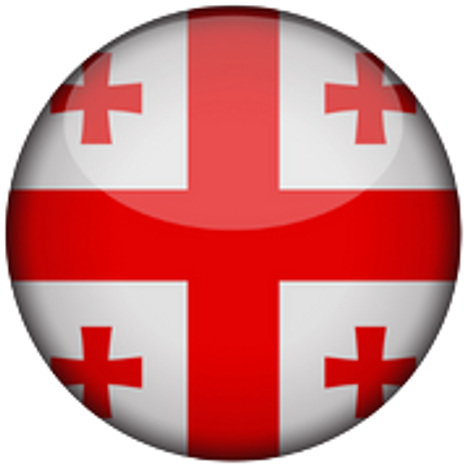 Georgia Basketball Team