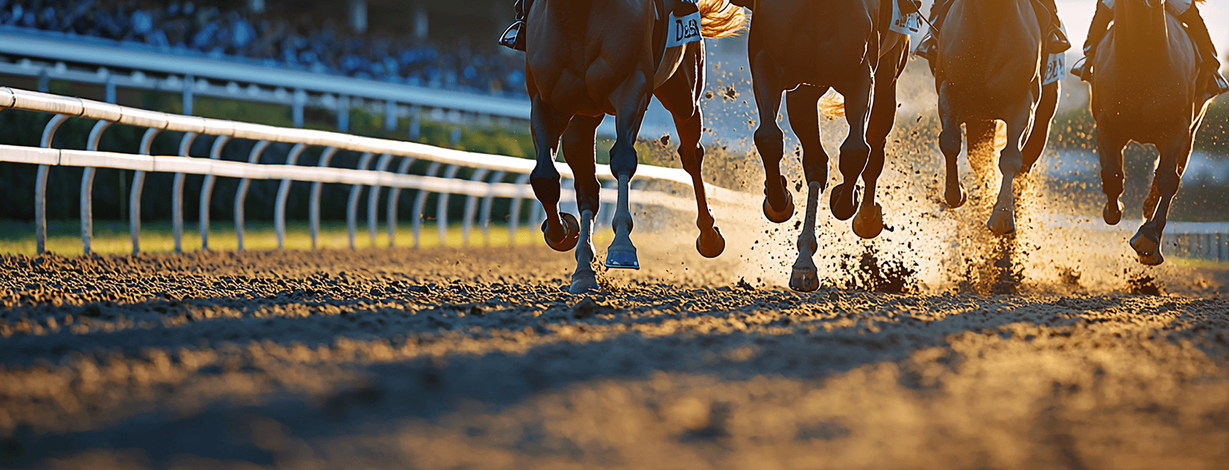 Horse Racing