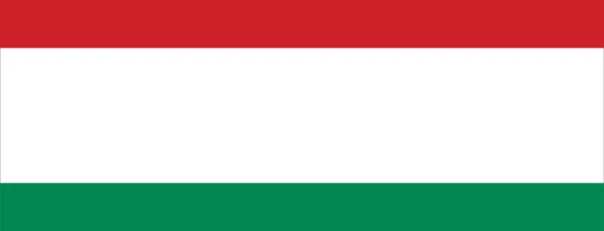 Hungary National Handball Team Men