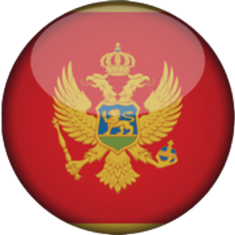 Montenegro Basketball Team
