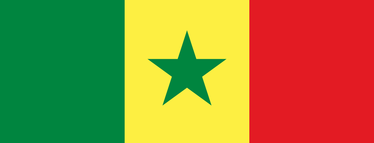 Senegal National Beach Soccer Team