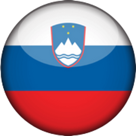 Slovenia Basketball Team
