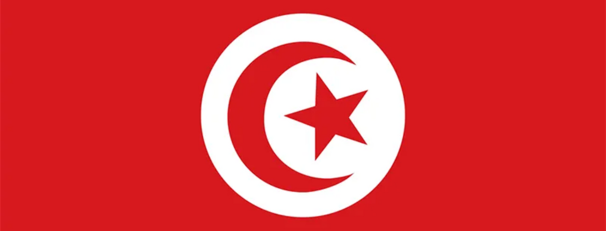 Tunisia National Handball Team Men