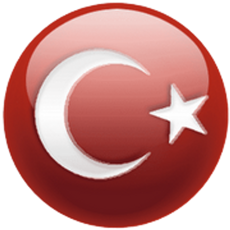 Türkiye Voleeyball Team