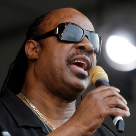 Stevie Wonder