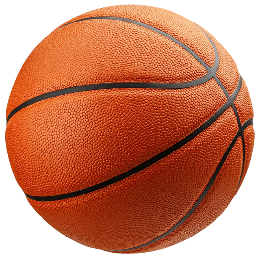 FC Barcelona Basquet basketball Tickets on sale now Ticombo