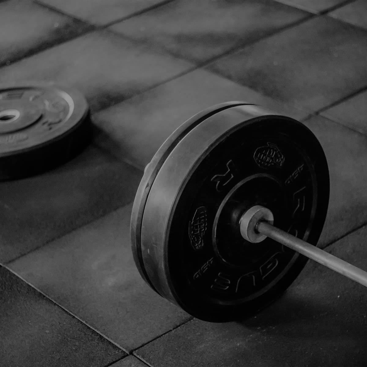 WLF09 - Weightlifting - Men's +110kg