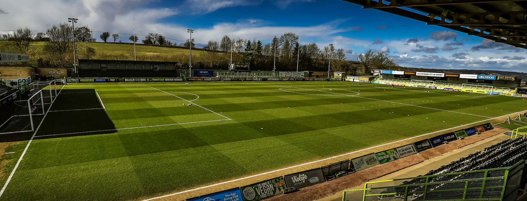 The New Lawn Stadium