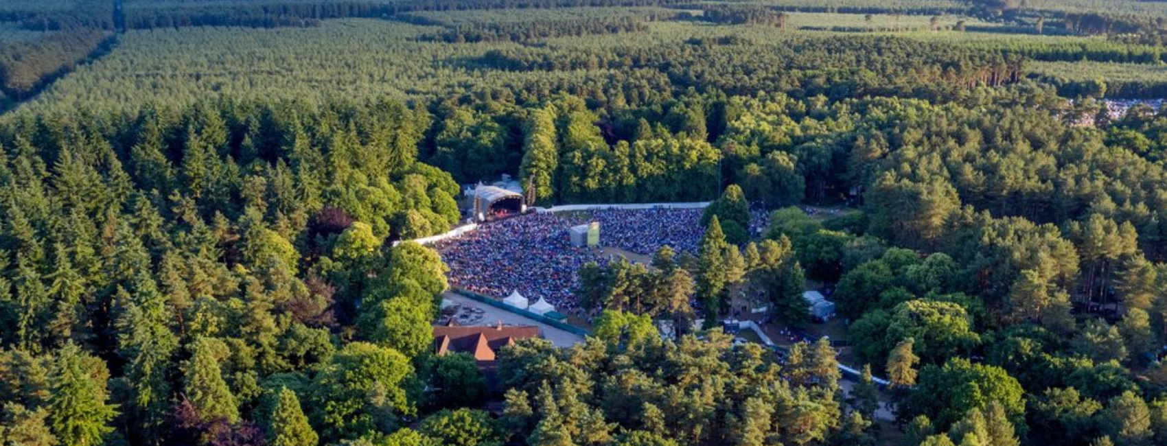 Thetford Forest