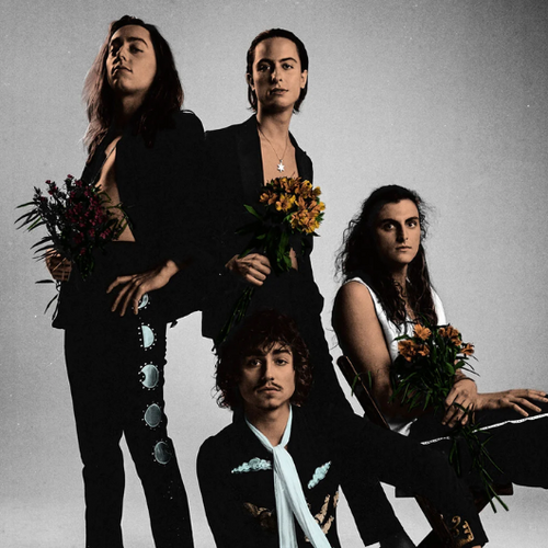 Greta Van Fleet