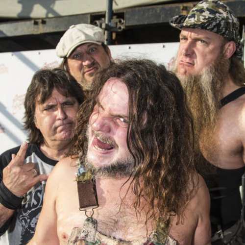Hayseed Dixie