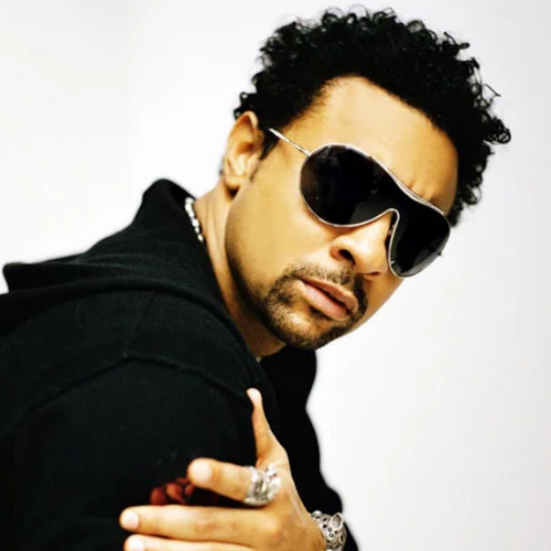 Shaggy