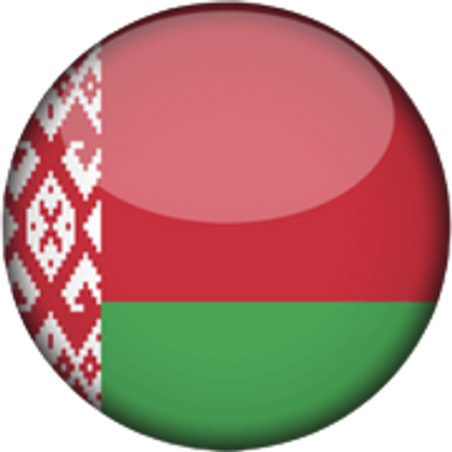 Belarus National Futsal Team Men