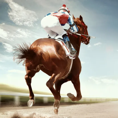 Saturday Ticket Belmont Stakes