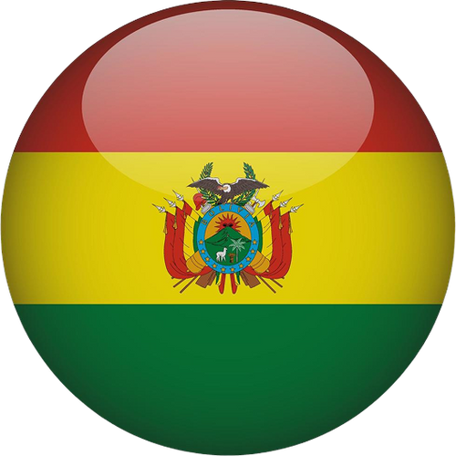 Bolivia National Football Team Men