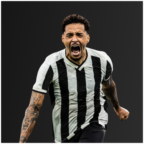 Botafogo de Futebol e Regatas