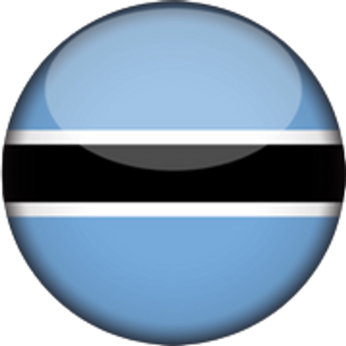Botswana National Team Men