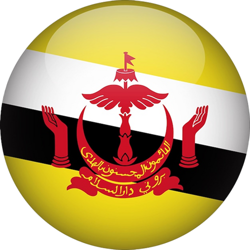 Brunei Darussalam National Team Men