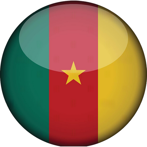 Cameroon National Basketball Team Men