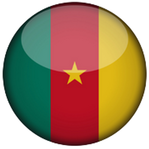 Cameroon National Football Team Men