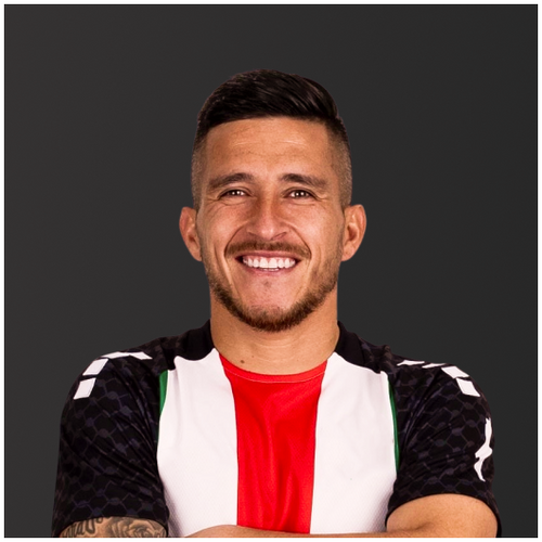 Club Deportivo Palestino