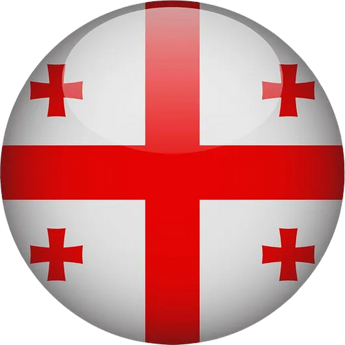 Georgia National Basketball Team Men
