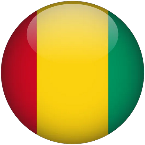 Guinea National Basketball Team Men