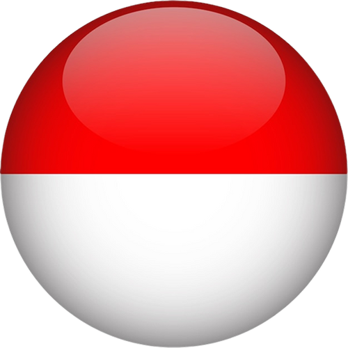 Indonesia National Football Team Men
