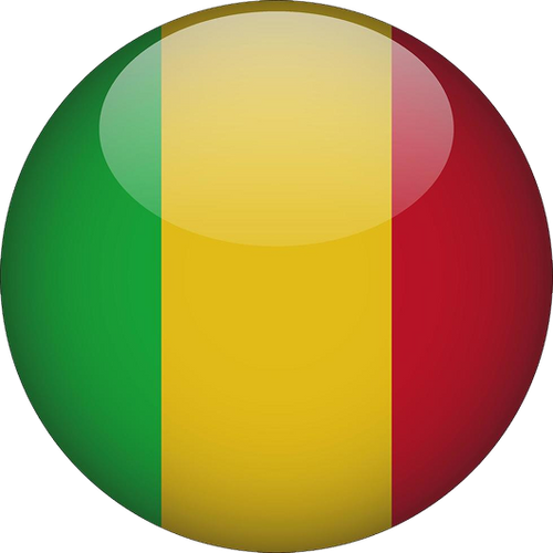 Mali National Basketball Team Men