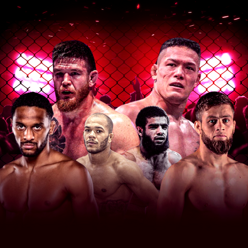 MMA Fighting