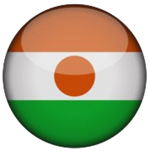 Niger National Team Men