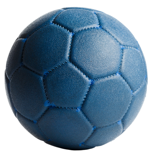 Paris Saint-Germain Handball