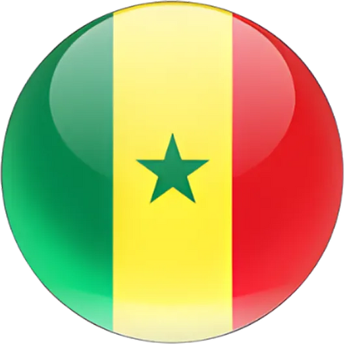 Senegal National Basketball Team Men