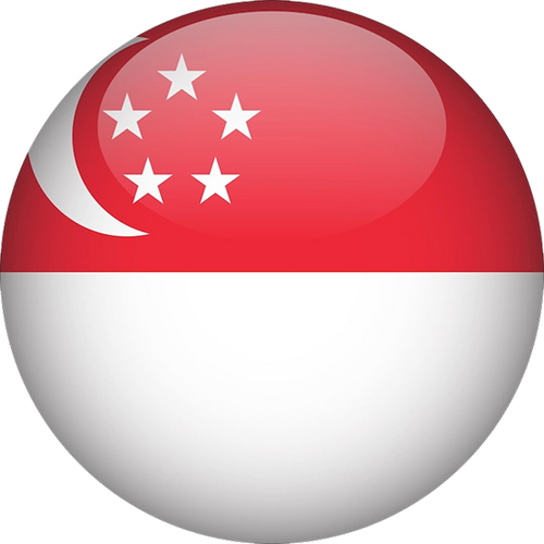 Singapore National Football Team Men