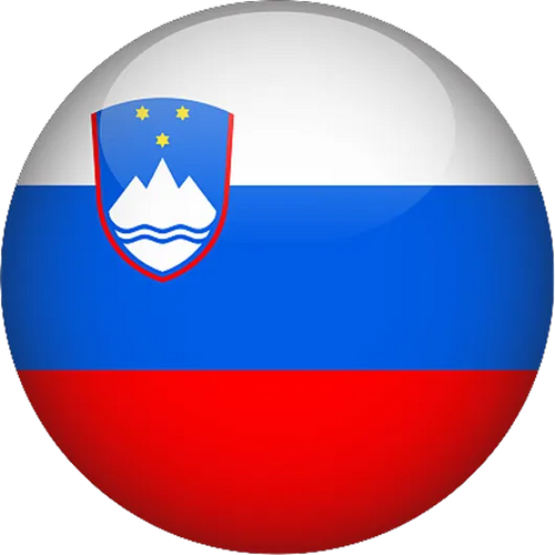 Slovenia National Basketball Team