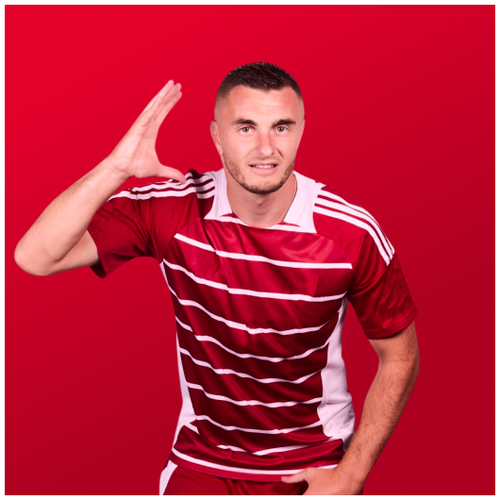 Stade Brestois 29