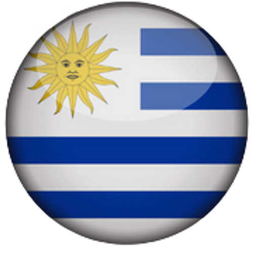 Uruguay National Team Men football Tickets on sale now Ticombo