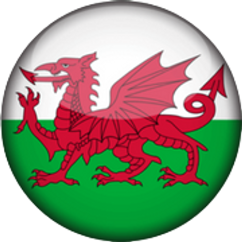Wales National Rugby Team Men Tickets on sale now | Ticombo