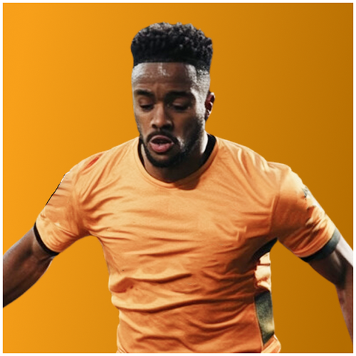 Wolverhampton Wanderers FC