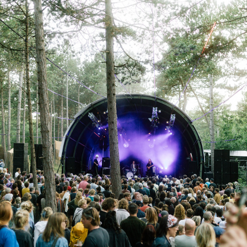 Into The Great Wide Open 2024 Festival Pass