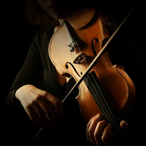 Kleio String Quartet s