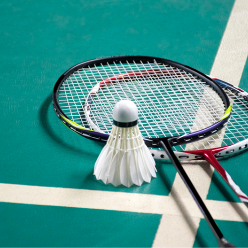 Badminton Session BDM23 Summer Games